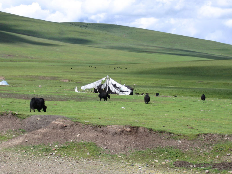 Haut plateau tibétain au Qinghai (photo JPDesimpelaere, 2005)