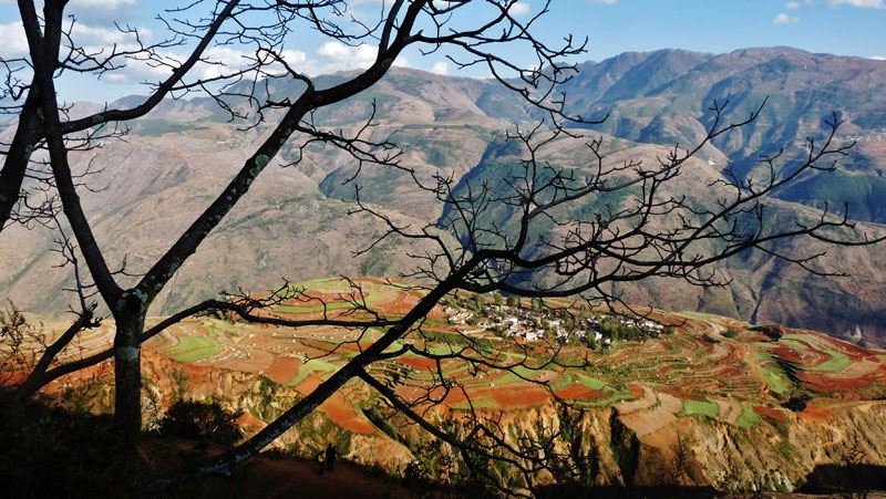 les terres rouges du Yunnan près du Saluen (photo Thérèse Deruyt, 2012)