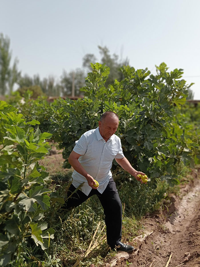 Notre hôte nous offre des figues fraîches