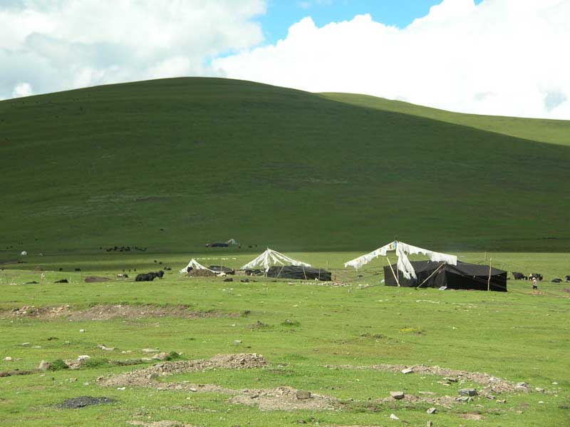 semi-nomades et troupeau de yack dans le Qinghai (photo JPDes., 2005)