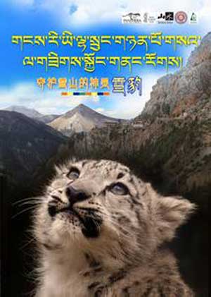 Affiche utilisée par des chercheurs de l’Université de Pékin pour la sensibilisation à la protection des léopards des neiges dans les communautés bouddhistes de la réserve de Sanjiangyuan (photo Cambridge Core, 2016)