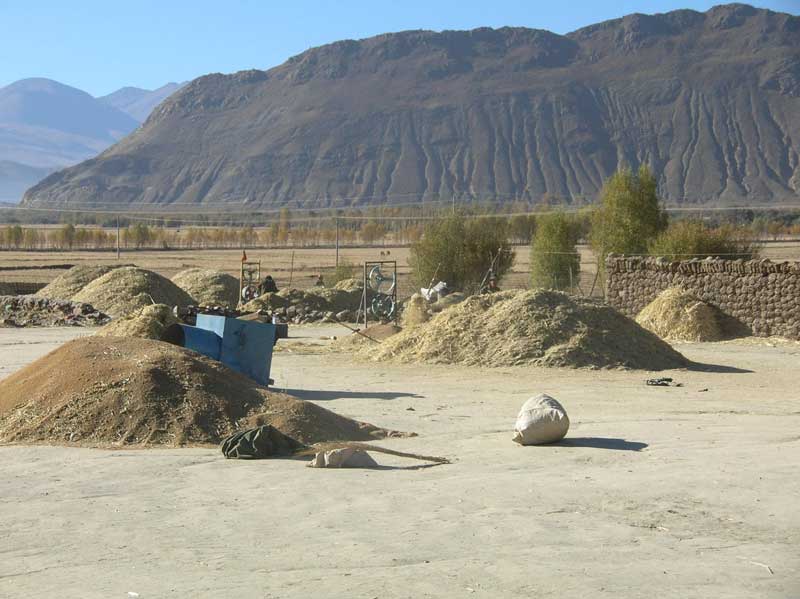 Plantation dans la région de Gyangze (photo JPDes., 2008)