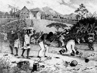 Esclaves à la Barbade (The Colthurst Journal )