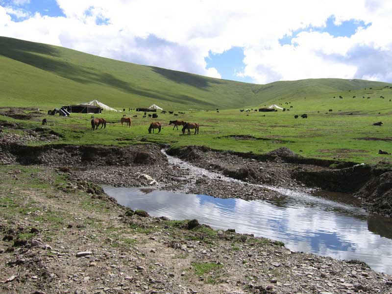 Sur le Haut plateau tibétain, on ne parle plus de nomadisme mais de transhumance (2005, photo JPDes)