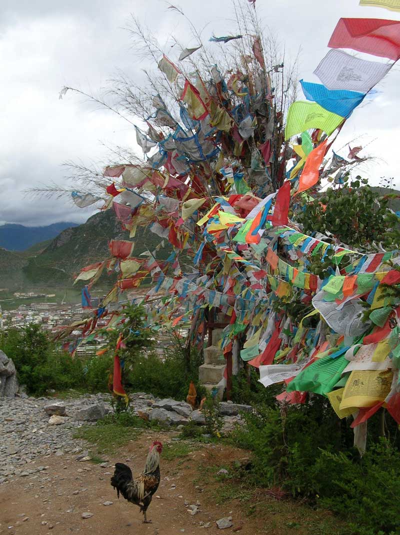 Couleurs tibétaines (JPD 2007)