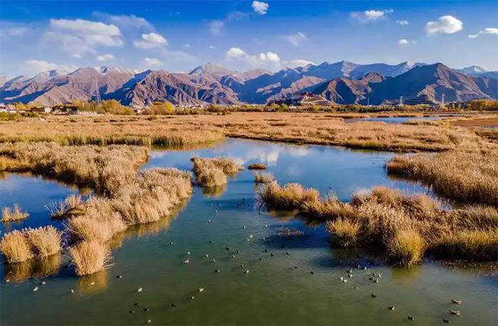 zone humide de Beishan Lalu, à Lhassa zone humide de Beishan Lalu, à Lhassa