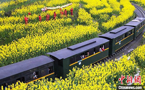 le « train à vapeur à destination du printemps » célèbre l'arrivée du printemps et des fleurs de colza dans dans la province du Sichuan le « train à vapeur à destination du printemps » célèbre l'arrivée du printemps et des fleurs de colza dans dans la province du Sichuan